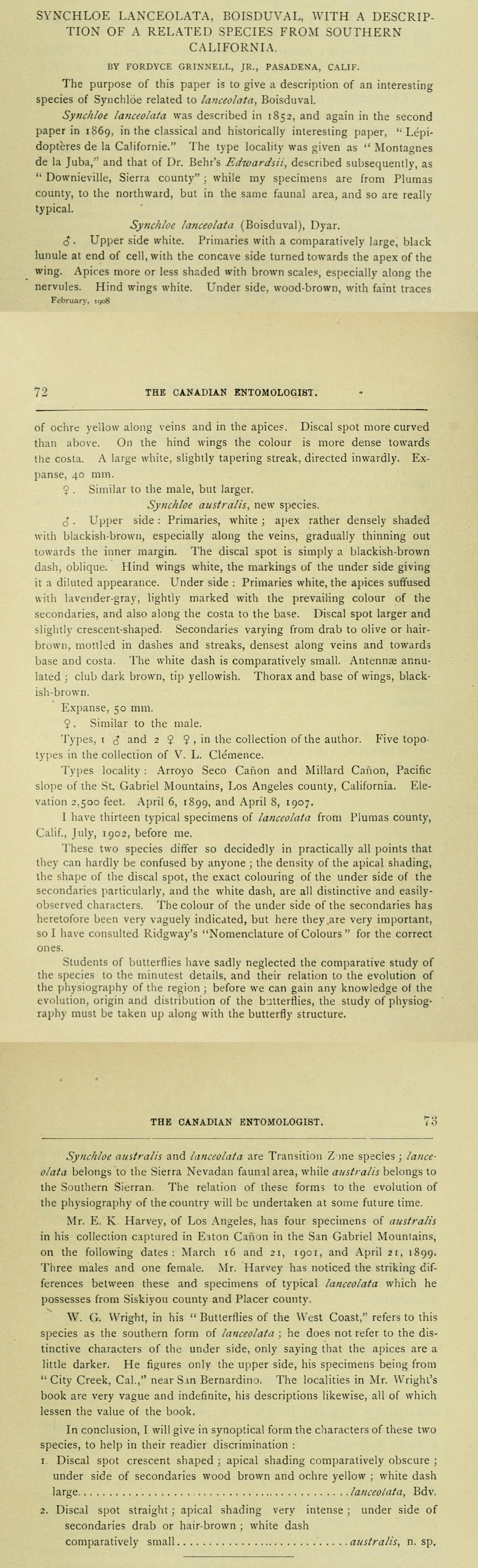 Original description of Anthocharis lanceolata australis by Fordyce Grinnell in 1908