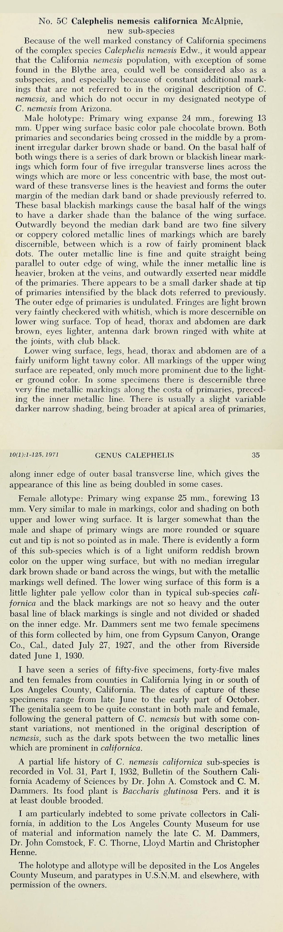 Original description of Calephelis nemesis dammersi - Fatal Metalmark
