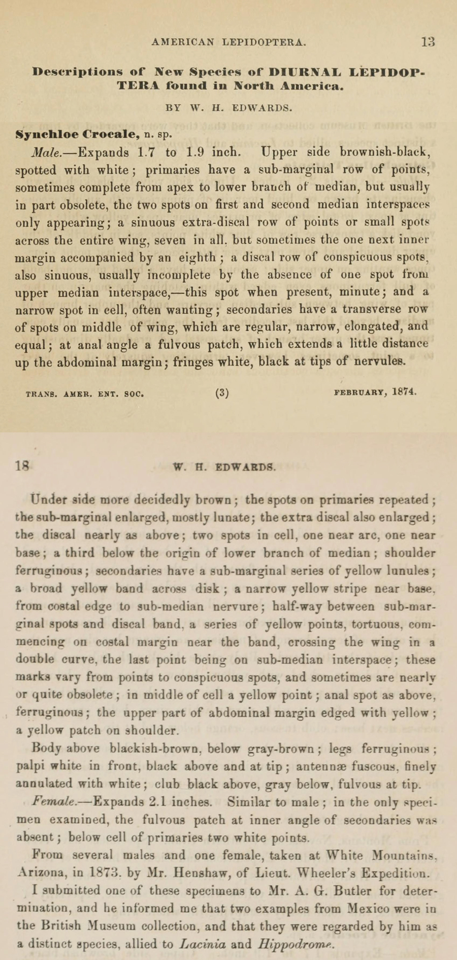 Original description of Chlosyne lacinia crocale - Bordered Patch