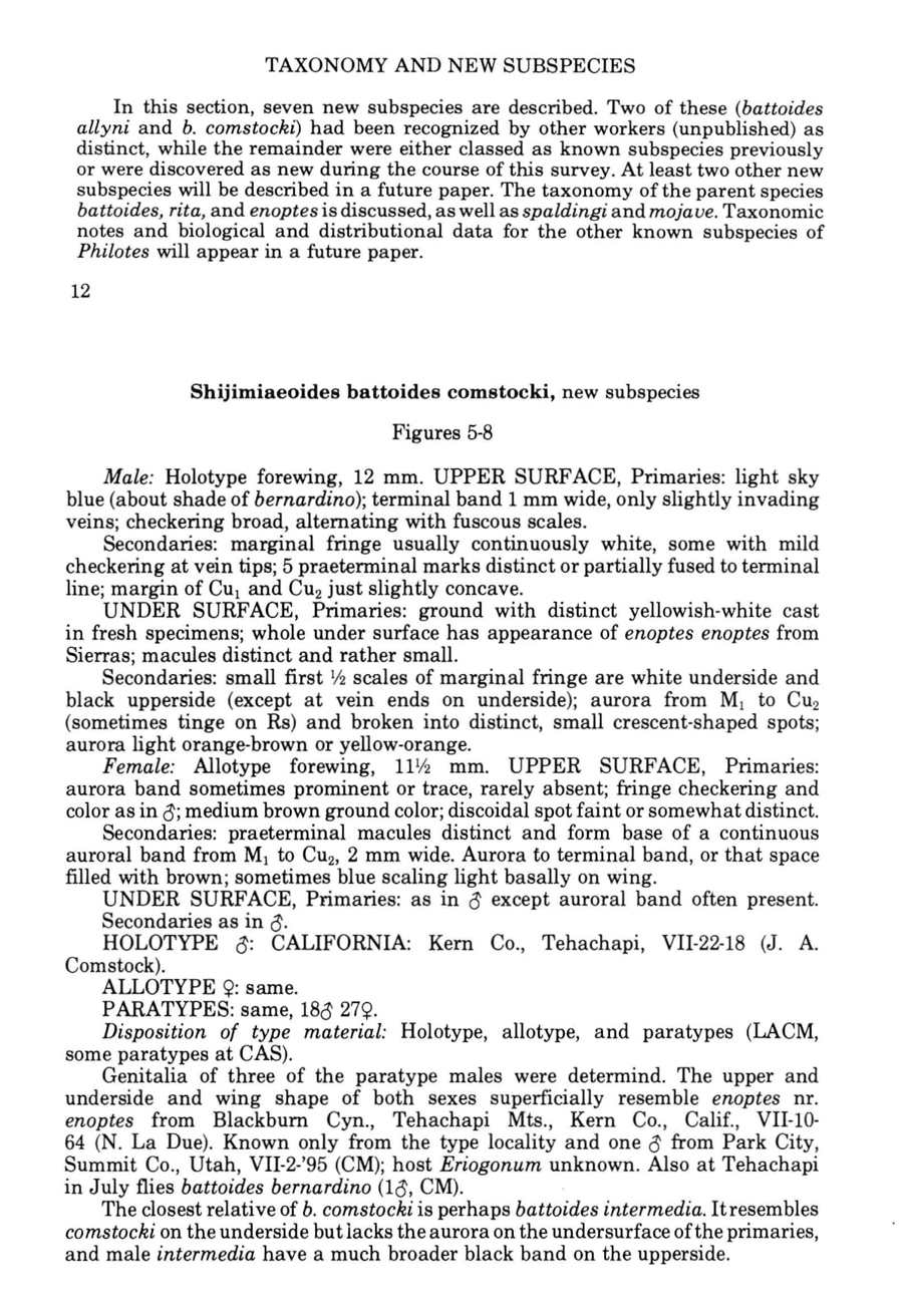 Original description of Euphilotes glaucon comstocki - Glaucon Blue