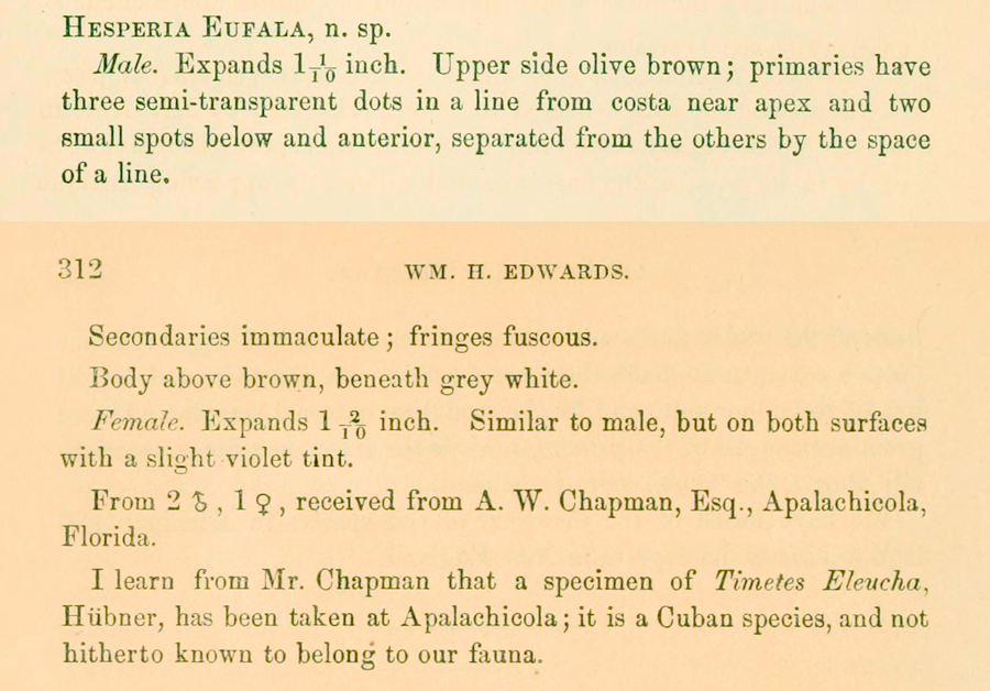 Original description of Lerodea eufala - Eufala Skipper