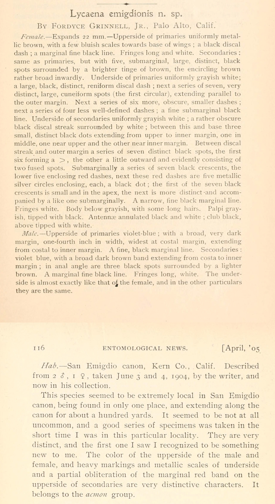 Original description of the San Emigdio Blue - Plebulina emigdionis